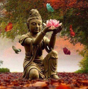 Meet your Posher, Elita